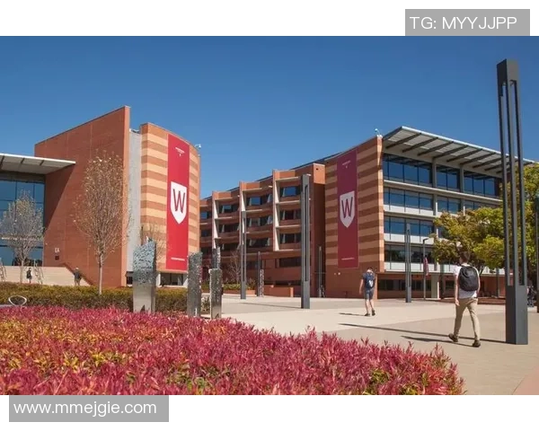 斯通斯的传奇旅程与音乐影响力探秘