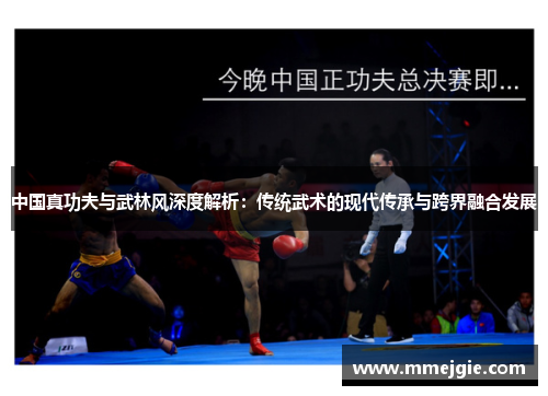 中国真功夫与武林风深度解析：传统武术的现代传承与跨界融合发展