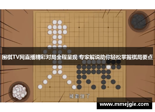 围棋TV网直播精彩对局全程呈现 专家解说助你轻松掌握棋局要点