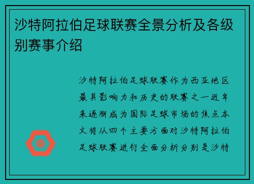 沙特阿拉伯足球联赛全景分析及各级别赛事介绍